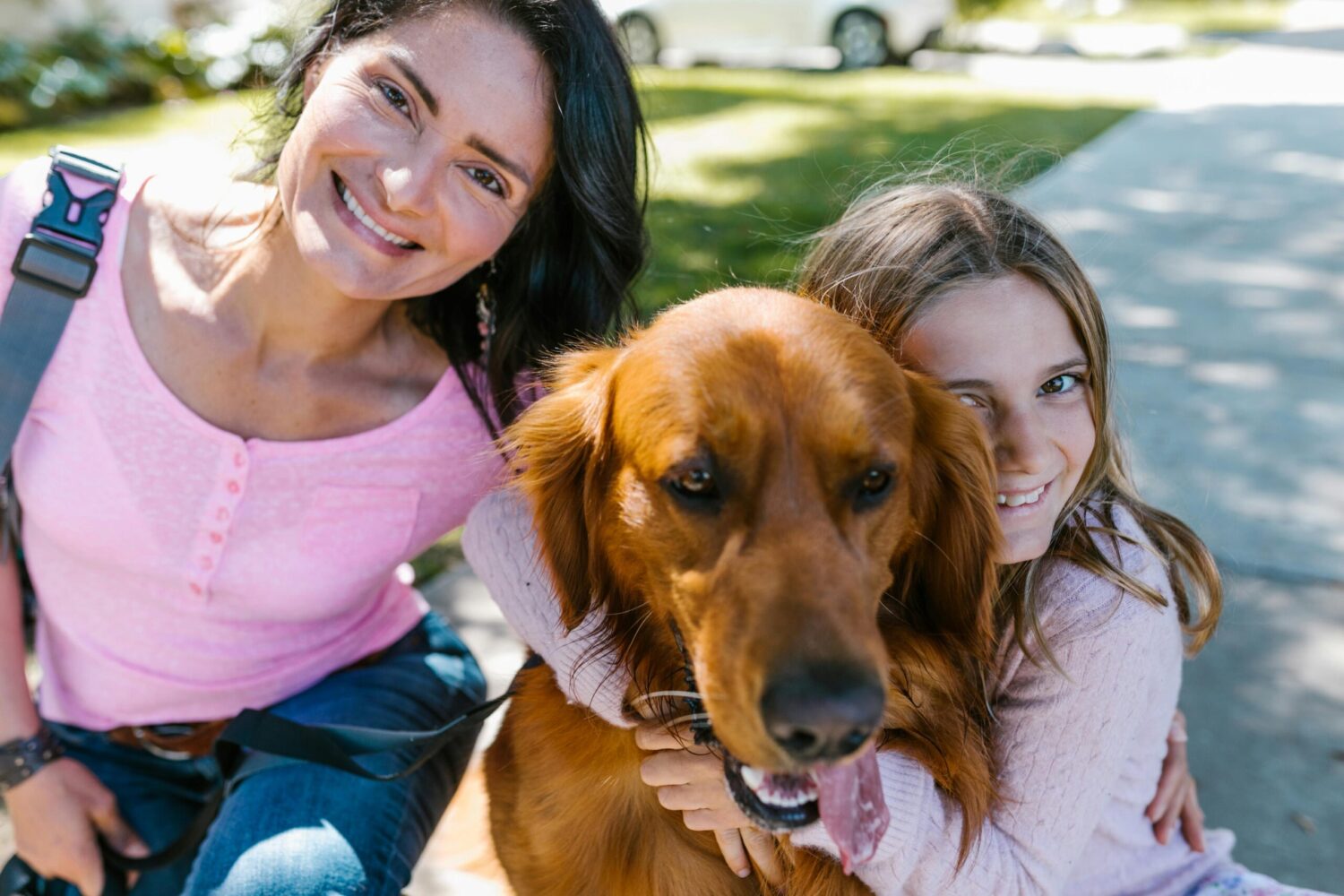 Golden retriwer