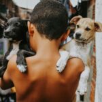 Quais as melhores raças de cães para crianças?